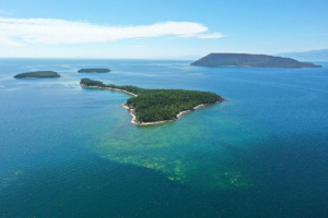Ушканьи острова